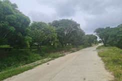 Farm Lot for Sale in Barili, Cebu