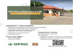 Royale Cebu Estates-Consolacion-  STA. LUCIA LAND