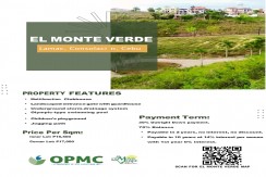El Monte Verde Estate- STA. LUCIA LAND