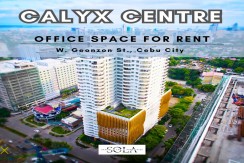 Office Space For Rent Calyx Centre by
