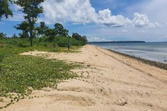 FOR SALE BEACH LOT in DAANBANTAYAN CEBU along main road