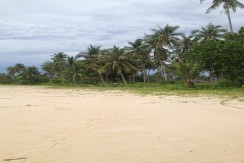 Beach Lot for Sale in Barangay of San Isidro, San Vicente Palawan