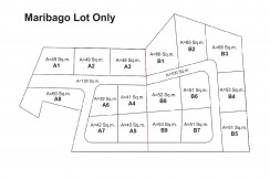 Lot for Sale in Maribago Lapu Lapu City