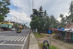 Commercial Lot along National Highway in Liloan, Cebu
